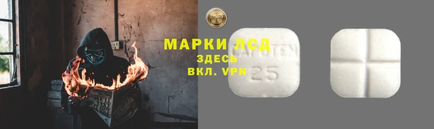 гидра Балахна