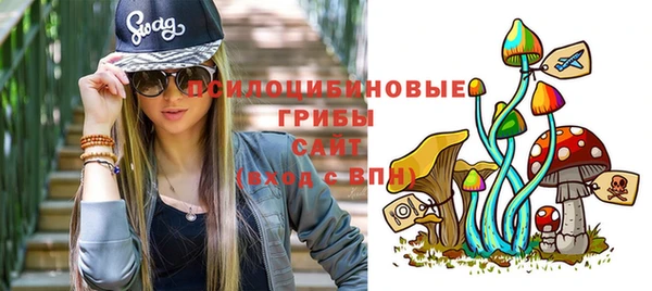 гидра Балахна