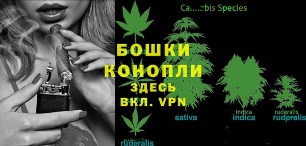 гидра Балахна